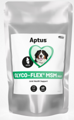 Aptus Glyco-Flex MSM Maxi purutabl 60 kpl